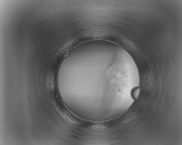 X0000064040644200602031558