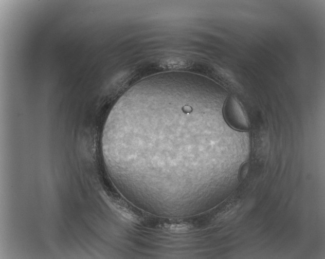 X0000064040645200602031558