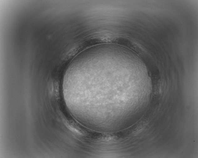 X0000064040646200602031558