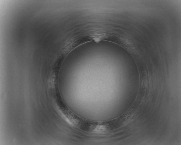 X0000064040647200602031558