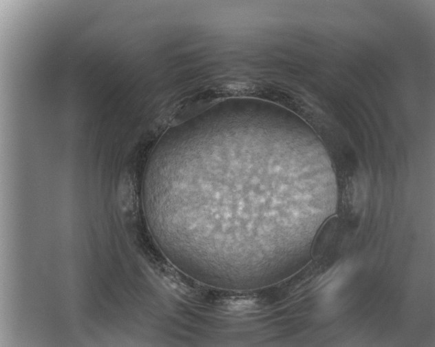 X0000064040651200602031559