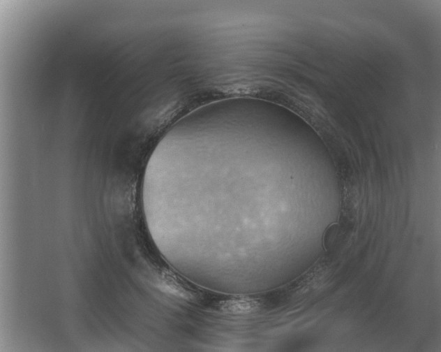 X0000064040652200602031559