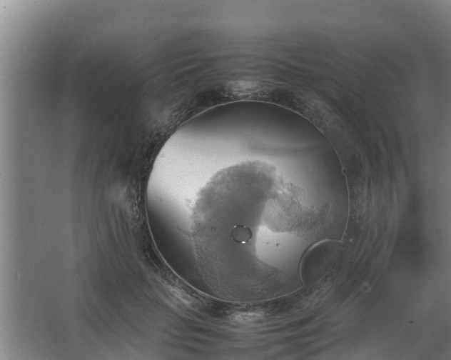 X0000064040653200602031559