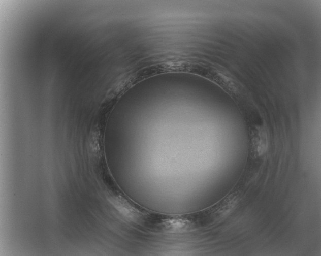 X0000064040654200602031559