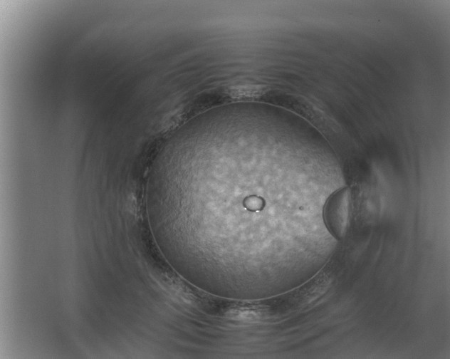 X0000064040655200602031559