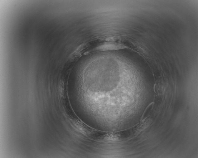 X0000064040656200602031559