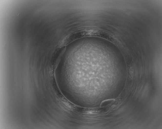 X0000064040657200602031559