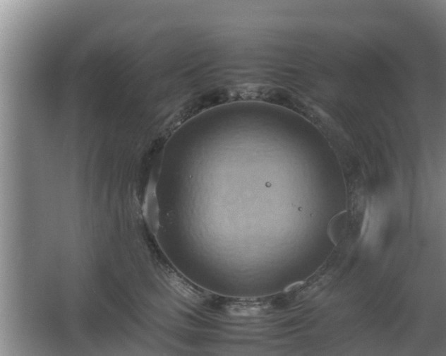 X0000064040661200602031559