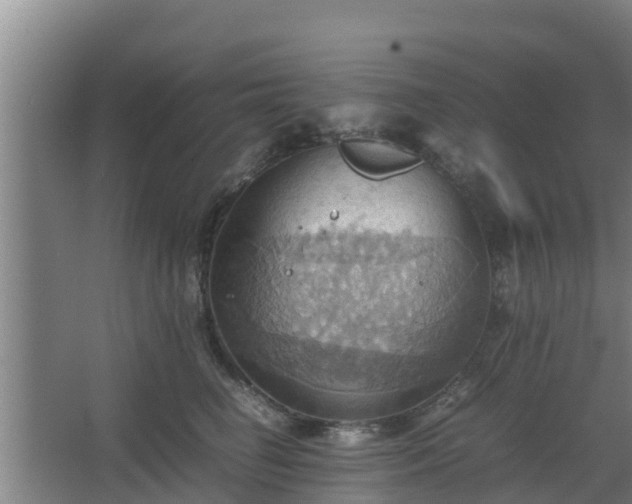 X0000064040662200602031559