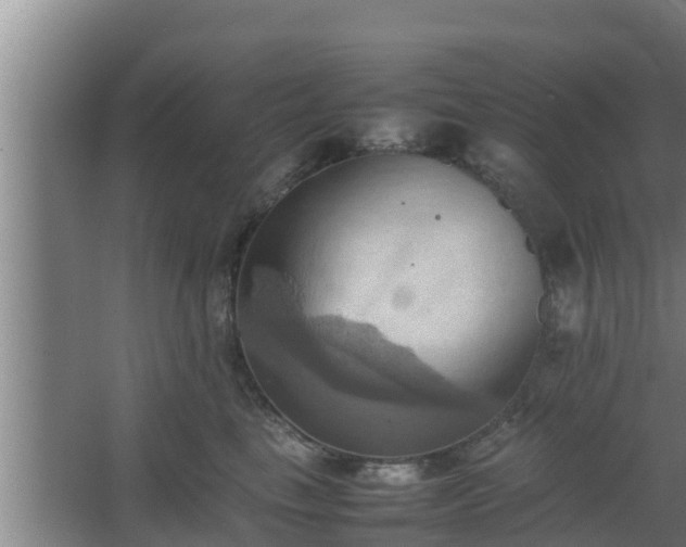 X0000064040665200602031559