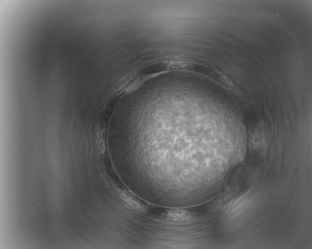 X0000064040666200602031559