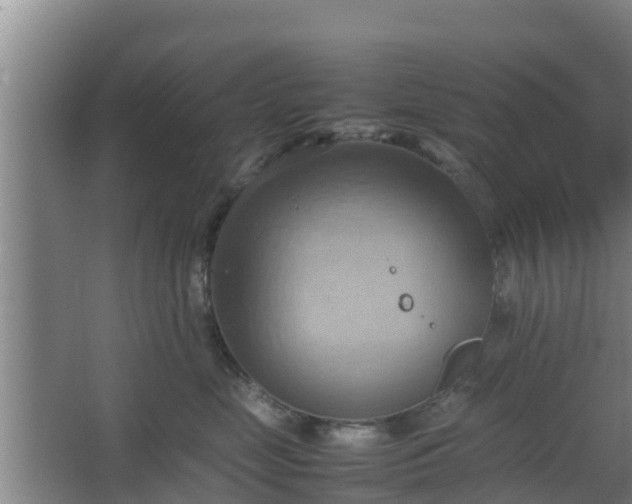 X0000064040669200602031559