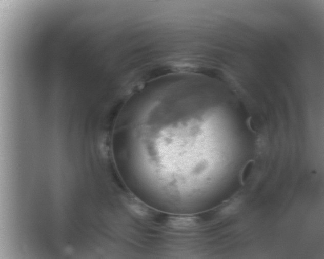 X0000064040671200602031559