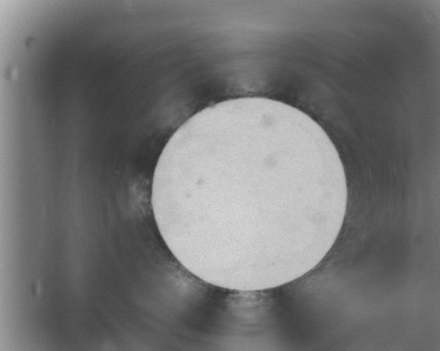 X0000064040672200602031559