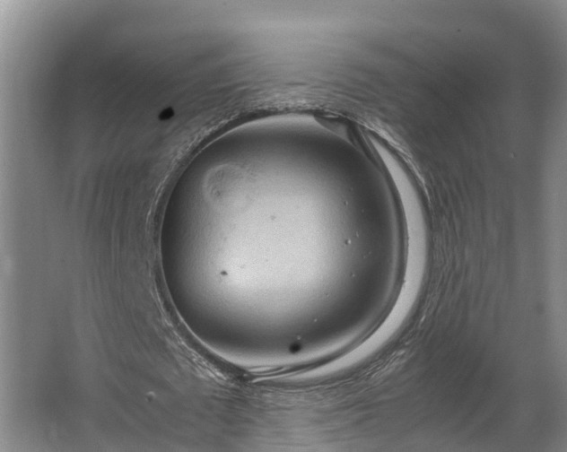 X0000064040673200602031558