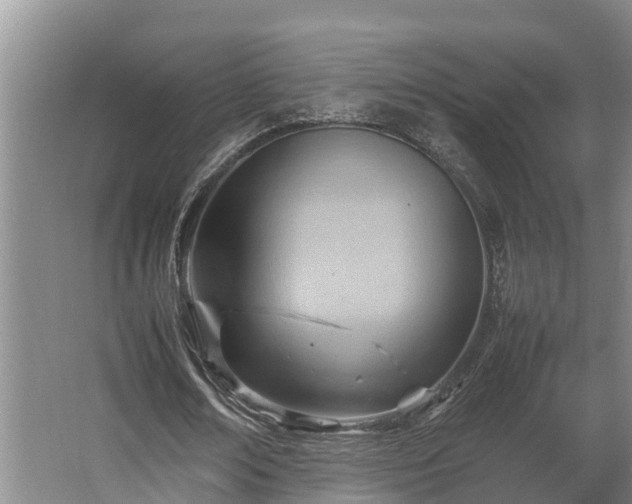 X0000064040674200602031558