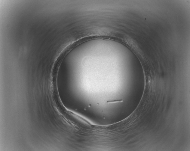 X0000064040676200602031558