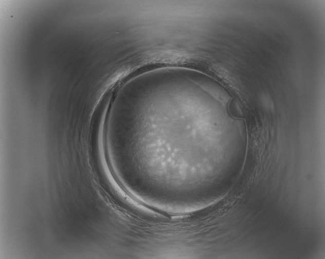 X0000064040679200602031558