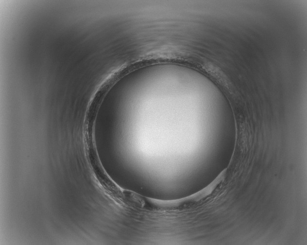 X0000064040680200602031558