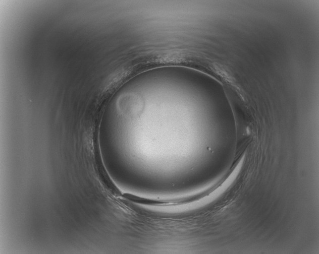 X0000064040681200602031558