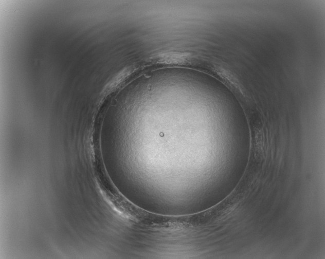 X0000064040682200602031558