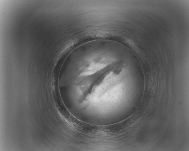 X0000064040683200602031558