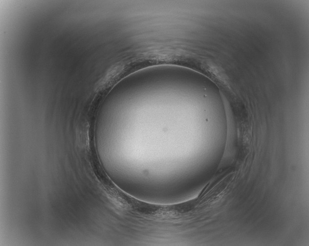 X0000064040685200602031558