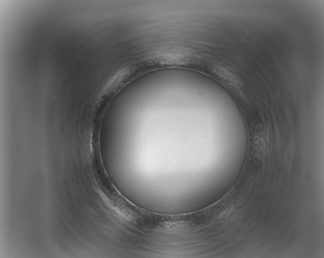 X0000064040686200602031558