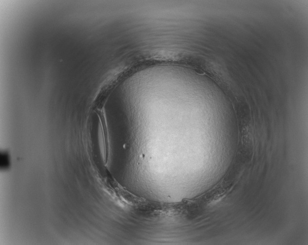 X0000064040688200602031558