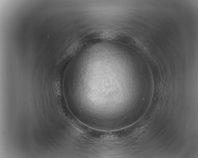 X0000064040689200602031558