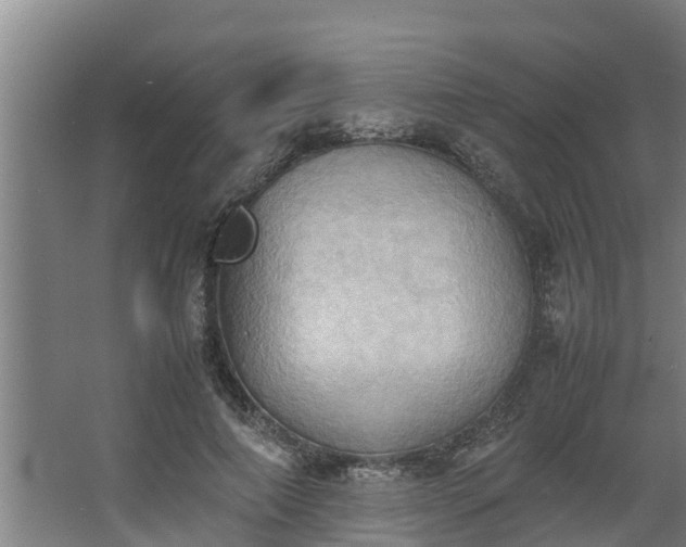 X0000064040690200602031558