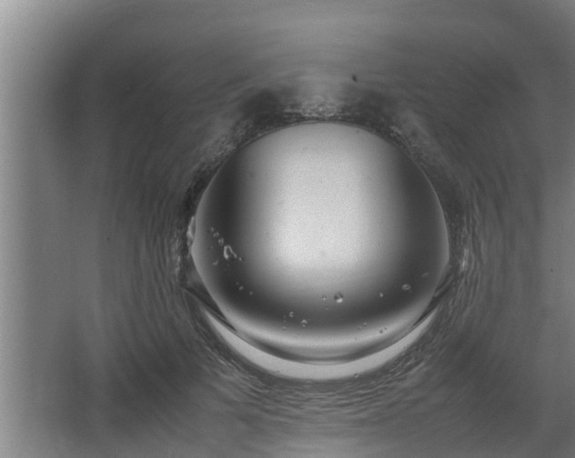 X0000064040697200602031558