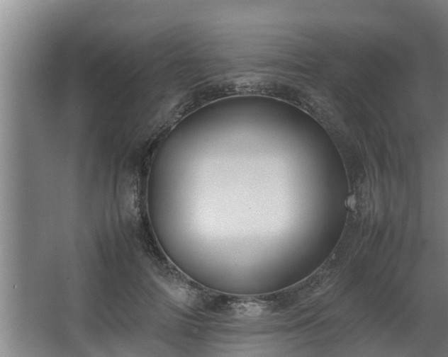 X0000064040698200602031558