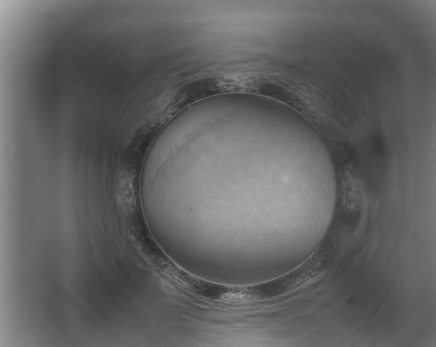 X0000064040699200602031558