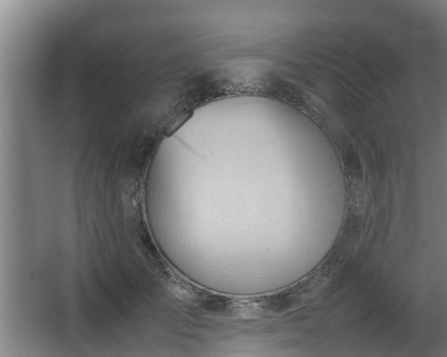 X0000064040701200602031558