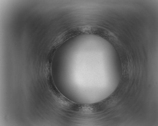 X0000064040702200602031558