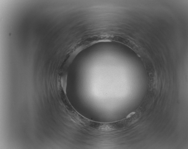 X0000064040704200602031558