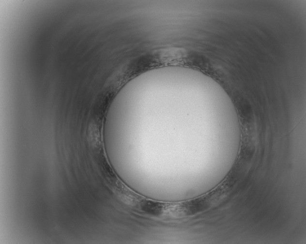 X0000064040705200602031558