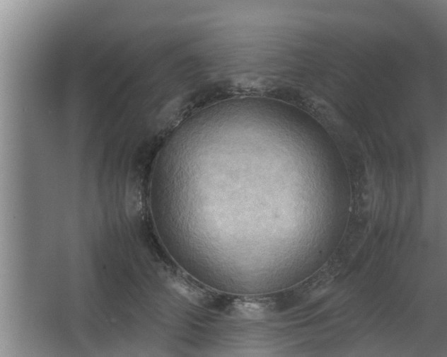 X0000064040706200602031558