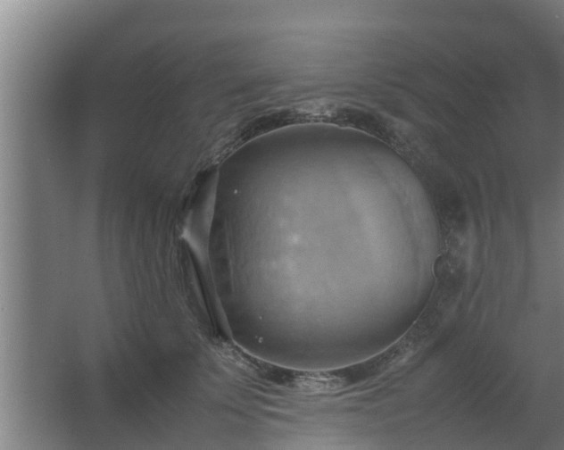 X0000064040707200602031558