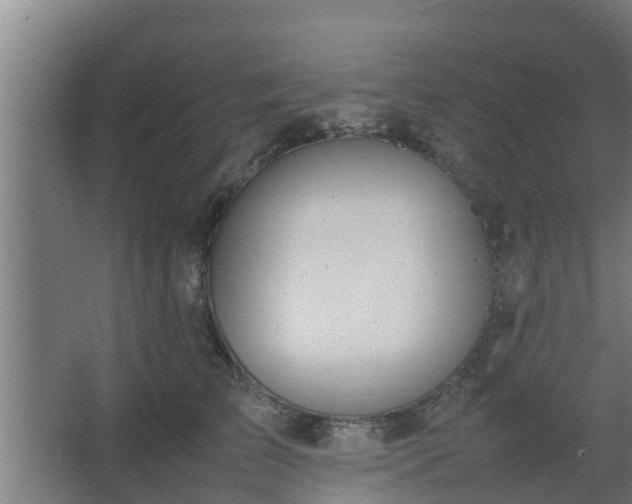 X0000064040709200602031557