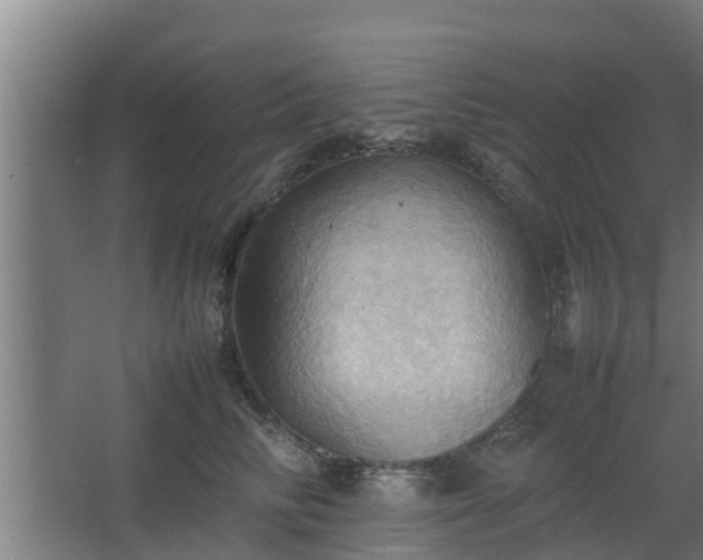 X0000064040710200602031557