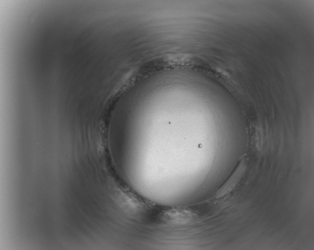 X0000064040712200602031557