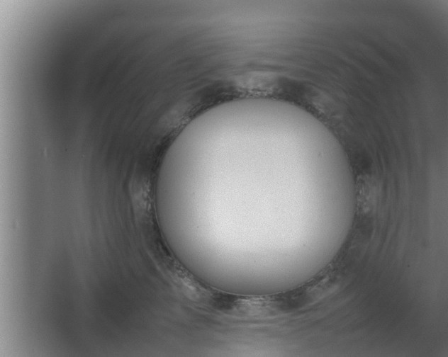 X0000064040713200602031557