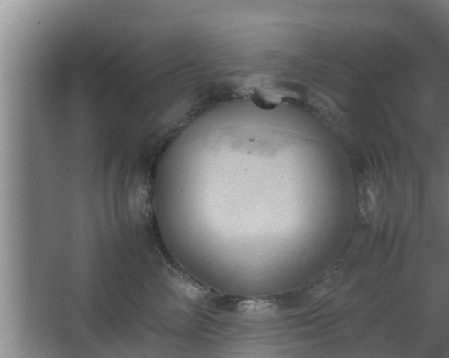 X0000064040714200602031557