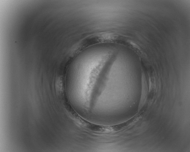 X0000064040715200602031557