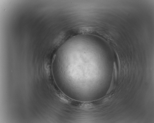 X0000064040716200602031557