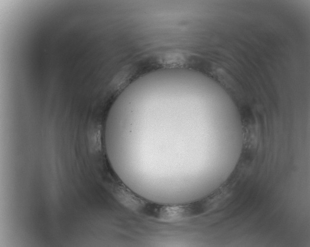 X0000064040717200602031557