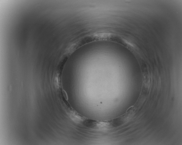 X0000064040718200602031557