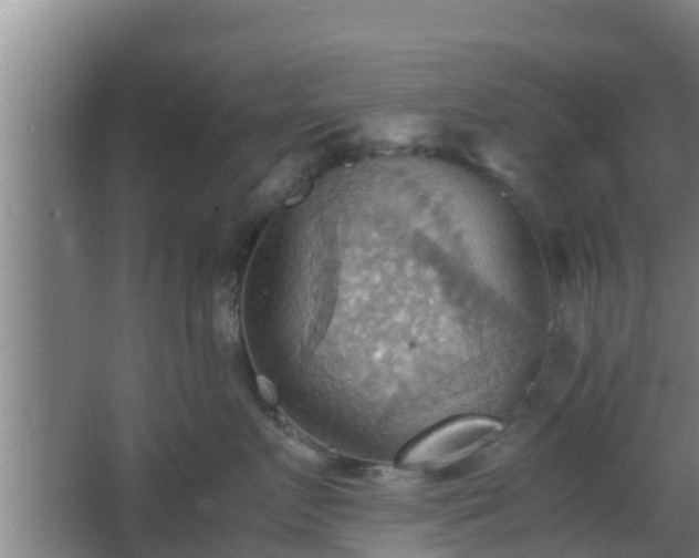 X0000064040719200602031557